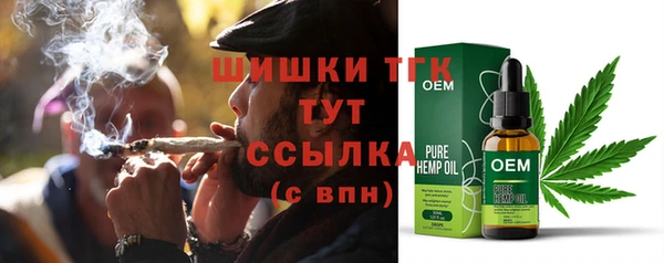 соль ск Алзамай