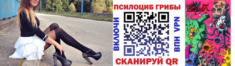 где найти наркотики  Далматово  Галлюциногенные грибы ЛСД 